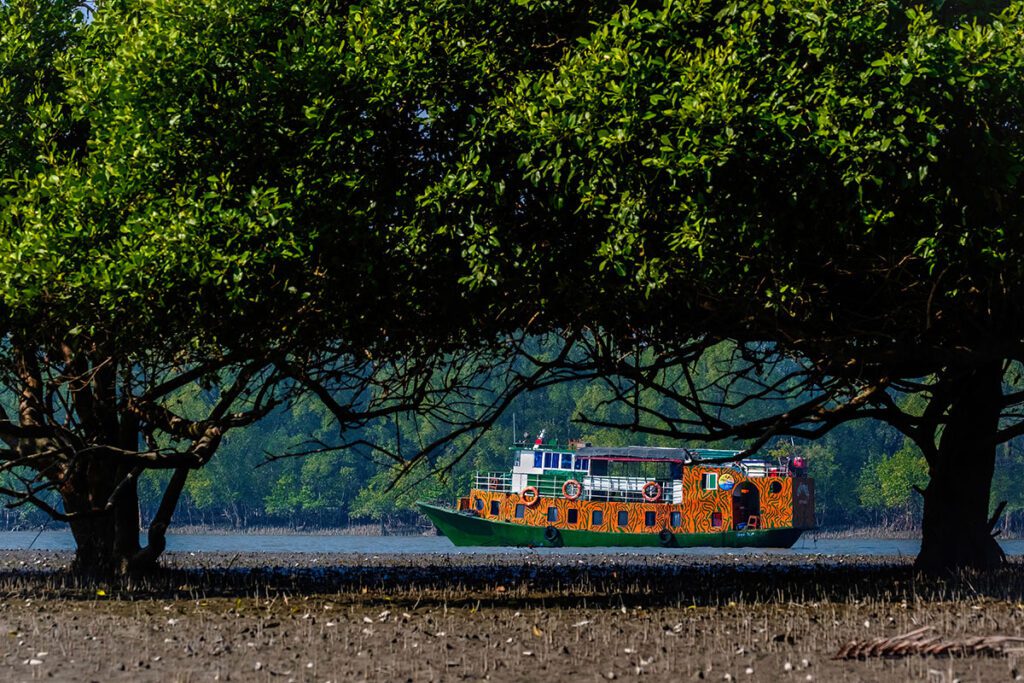 sundhorbhan mangrove