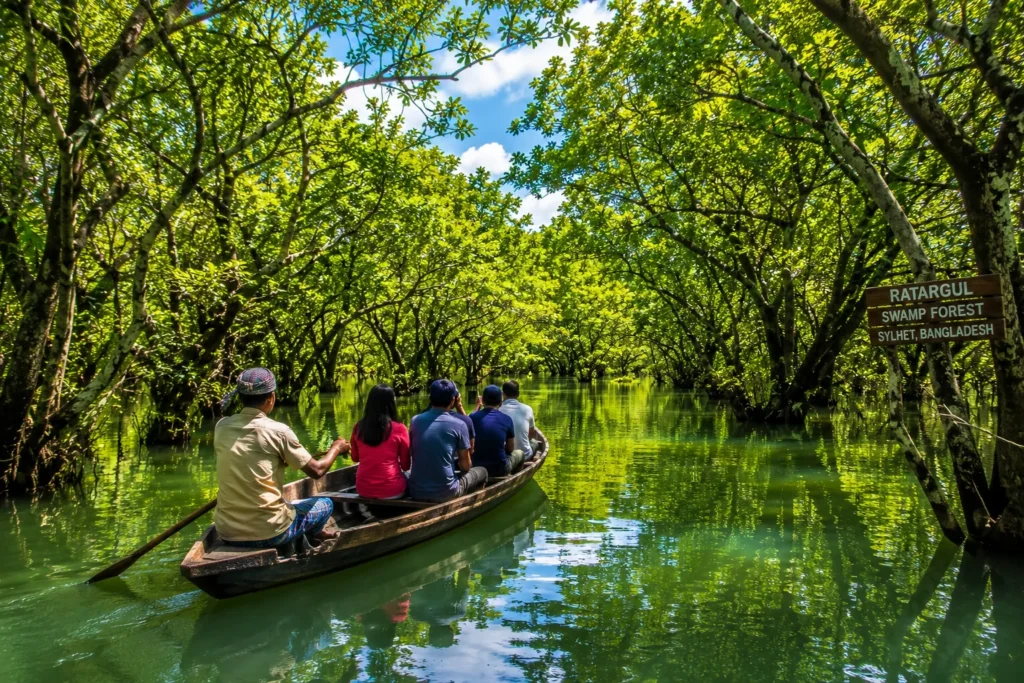 ratargul shamp forest