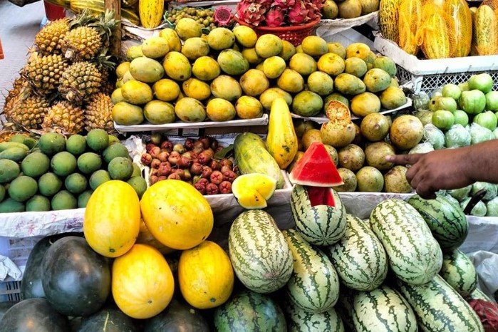 Seasonal fruits Enjoyment in a tour