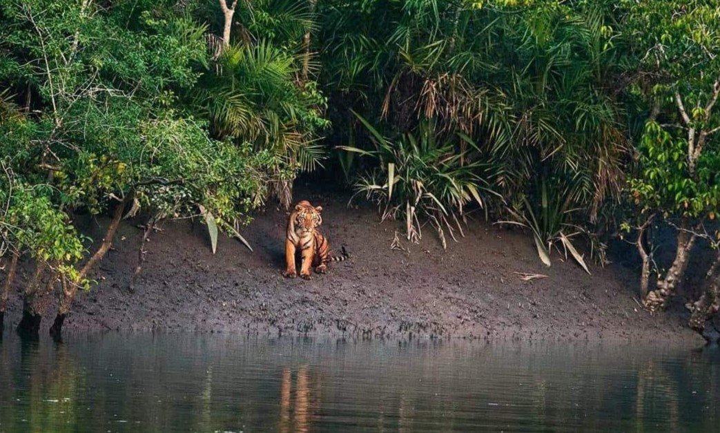 Sundarban Tour Package