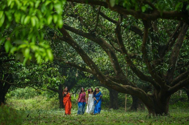 Plan Your Bangladesh Mango Tour