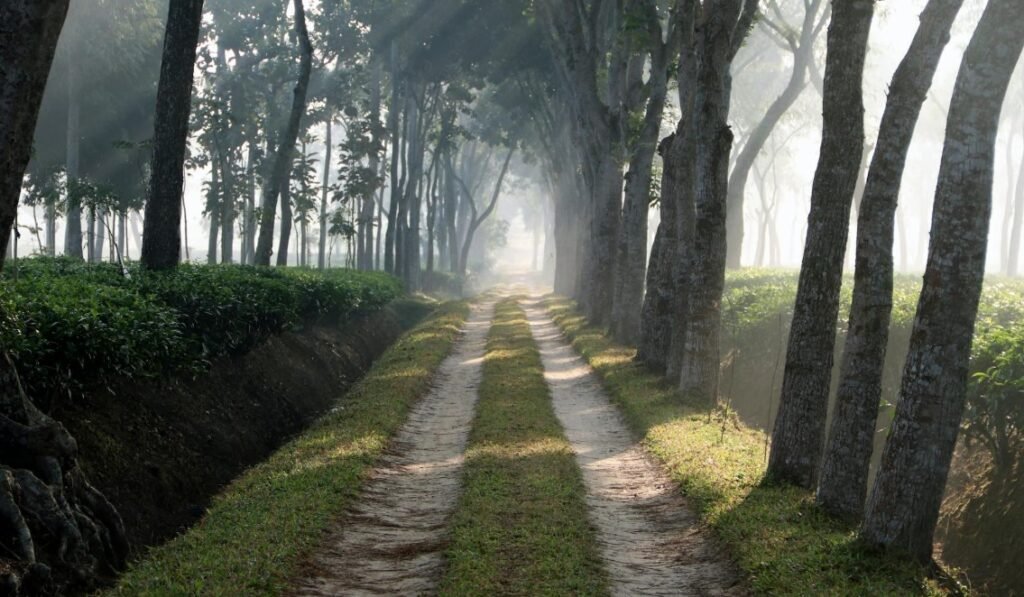 Village life tours
